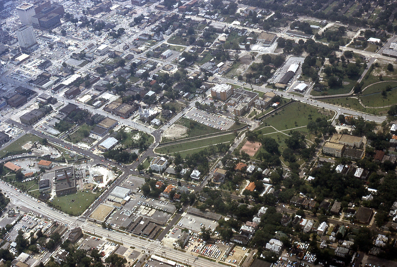 THE JAXSON | The oak tree that remembers Black Bottom — Jacksonville Today, Atlanta Schools news